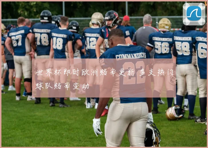 世界杯即时欧洲赔率更新 多支热门球队赔率变动