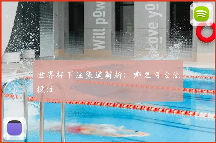 世界杯下注渠道解析:哪里可合法投注