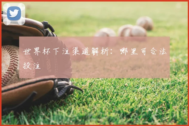 世界杯下注渠道解析：哪里可合法投注