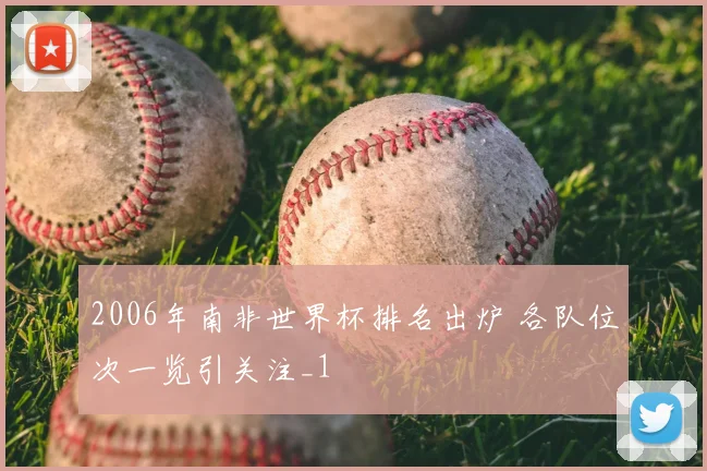 2006年南非世界杯排名出炉 各队位次一览引关注_1
